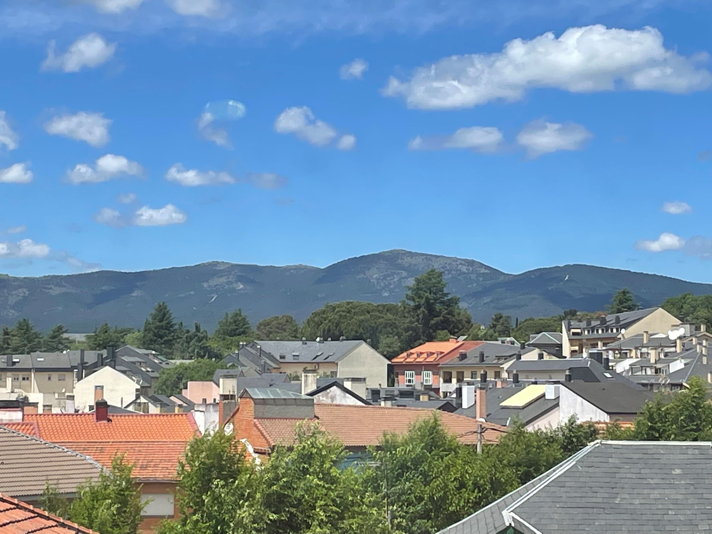 Descuentos en el IBI para Familias Numerosas: Nueva Bonificación