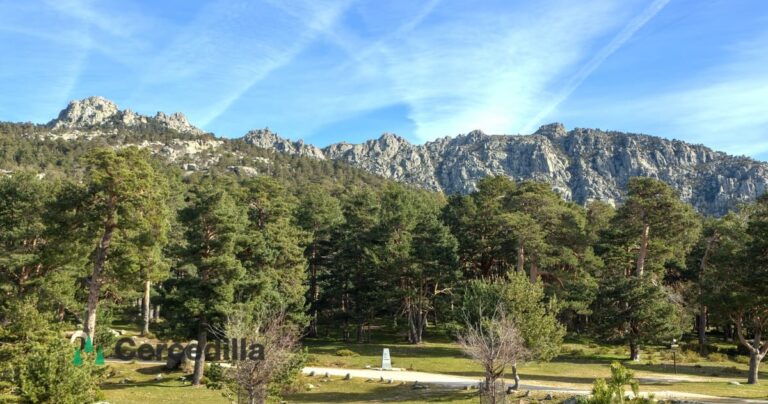 Prado en Cercedilla con vistas a siete picos