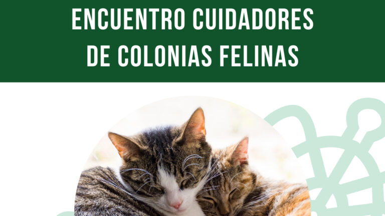 Galapagar Celebra Reunión para Cuidadores de Colonias de Gatos en un Acto de Compromiso Animal