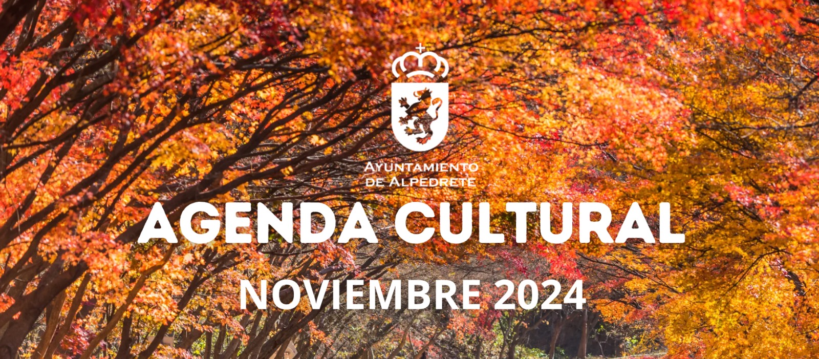 Desarrolla tu Talento Creativo con la Agenda Cultural de Noviembre del Ayuntamiento de Alpedrete