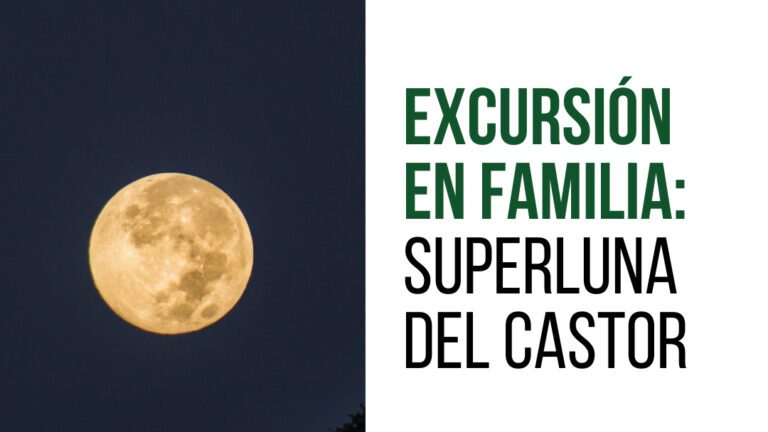 Innovadora Propuesta en Punto Joven: Excursiones Familiares para Fomentar la Convivencia y Disfrute al Aire Libre