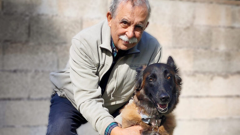 La Terapia Asistida con Perros Beneficia a 220 Ancianos de Galapagar: Una Nueva Forma de Mejorar su Calidad de Vida