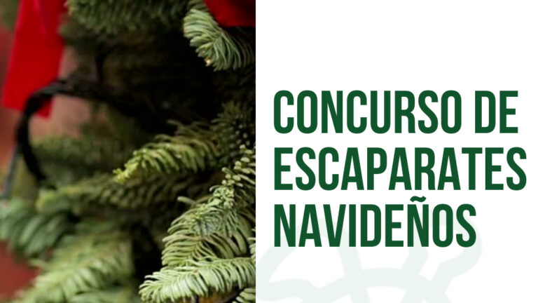 15 Tiendas Compiten en la Primera Edición del Concurso de Escaparatismo Navideño