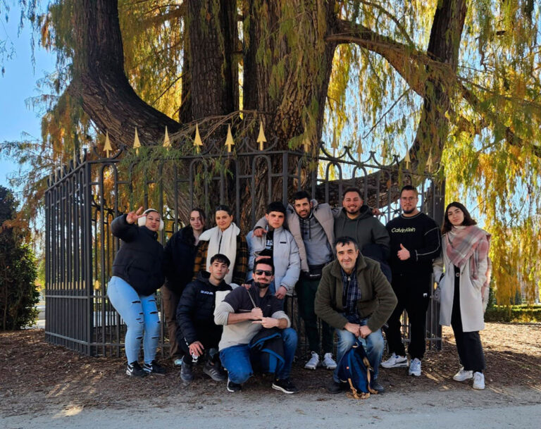 Desde el Concepto a la Realidad: el Grupo Estróbilos Planea Revitalizar Cercedilla con Vida y Color