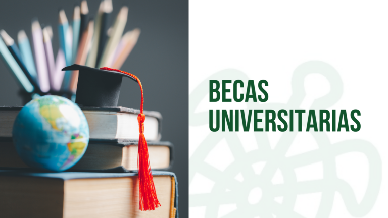Becas Universitarias Disponibles para los Residentes Empadronados en Galapagar