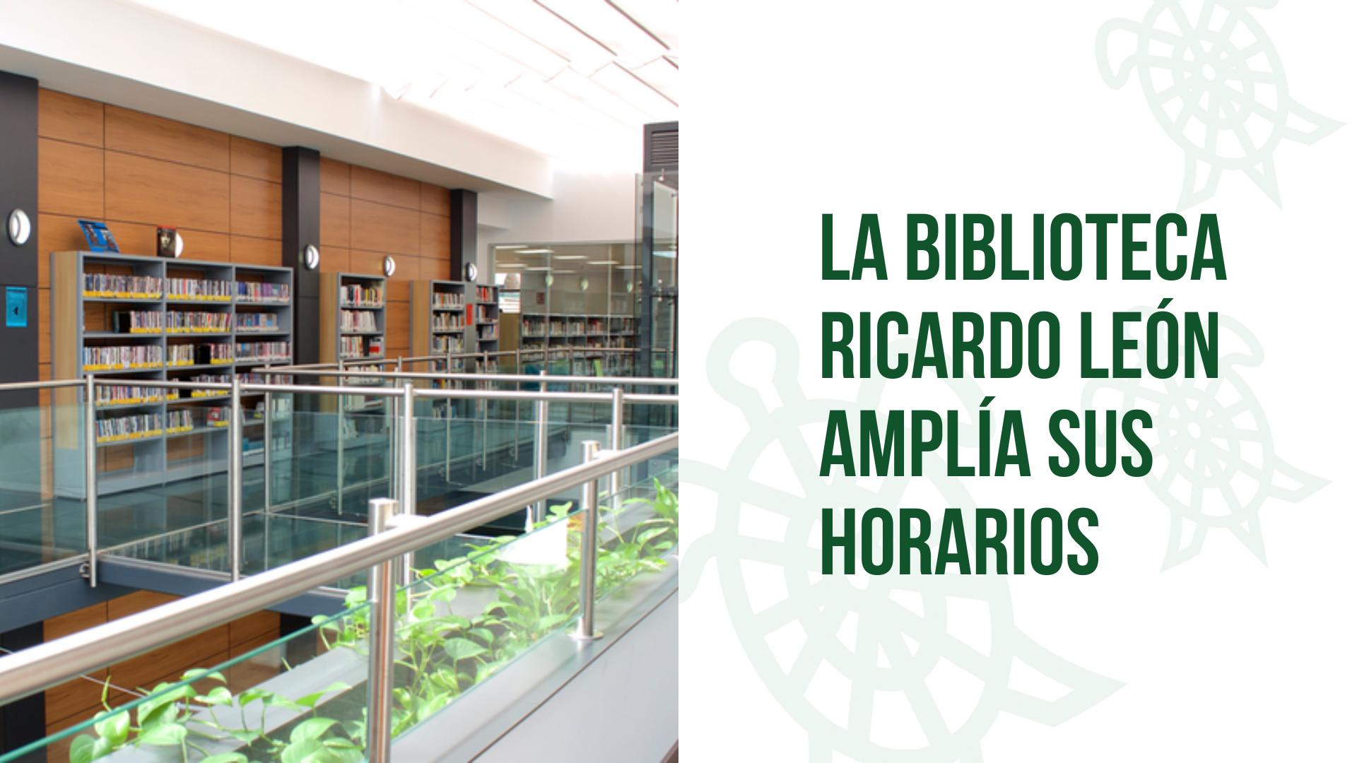 Ampliación de horarios en la Biblioteca Ricardo León durante la temporada de exámenes para facilitar el estudio de los alumnos