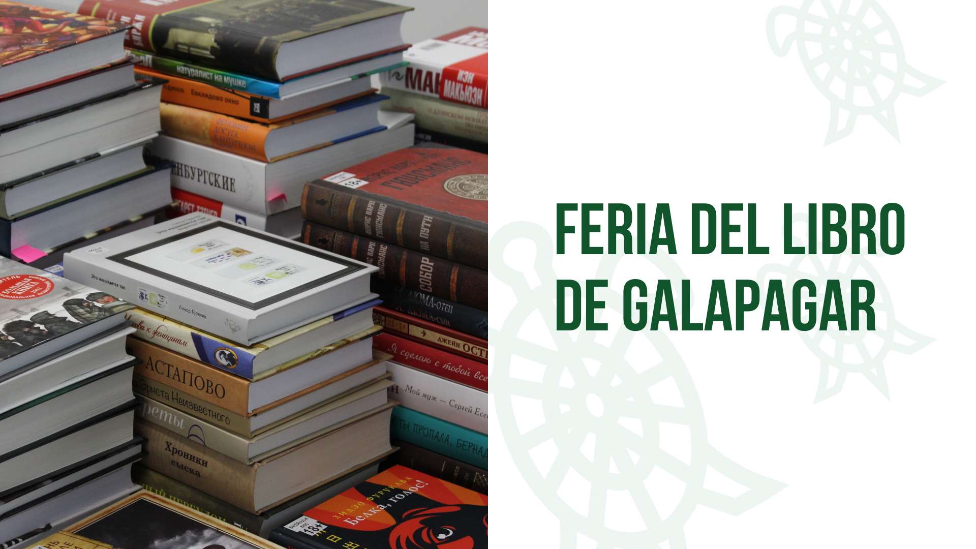 Galapagar celebra su V Feria del Libro destacando «Una biblioteca, infinitas historias»