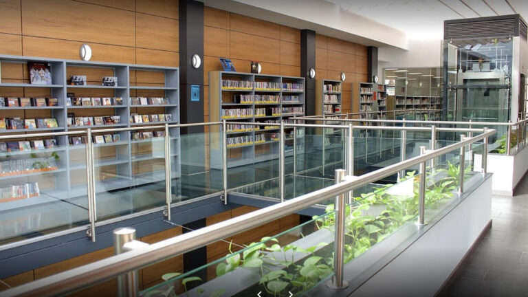 La Biblioteca Ricardo León amplía su catálogo en la temporada de verano con nuevas adquisiciones.