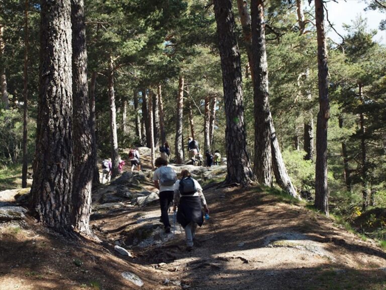 La Predicaminata 2025 recorrerá los pasos de Santo Domingo de Guzmán entre Cercedilla y Segovia
