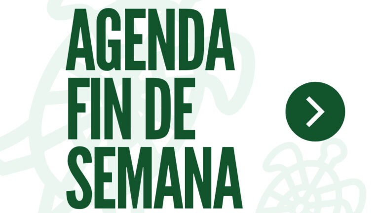 Galapagar celebra el fin de semana con el Encuentro de Bandas de Música y el Mercado de Mujeres Artesanas
