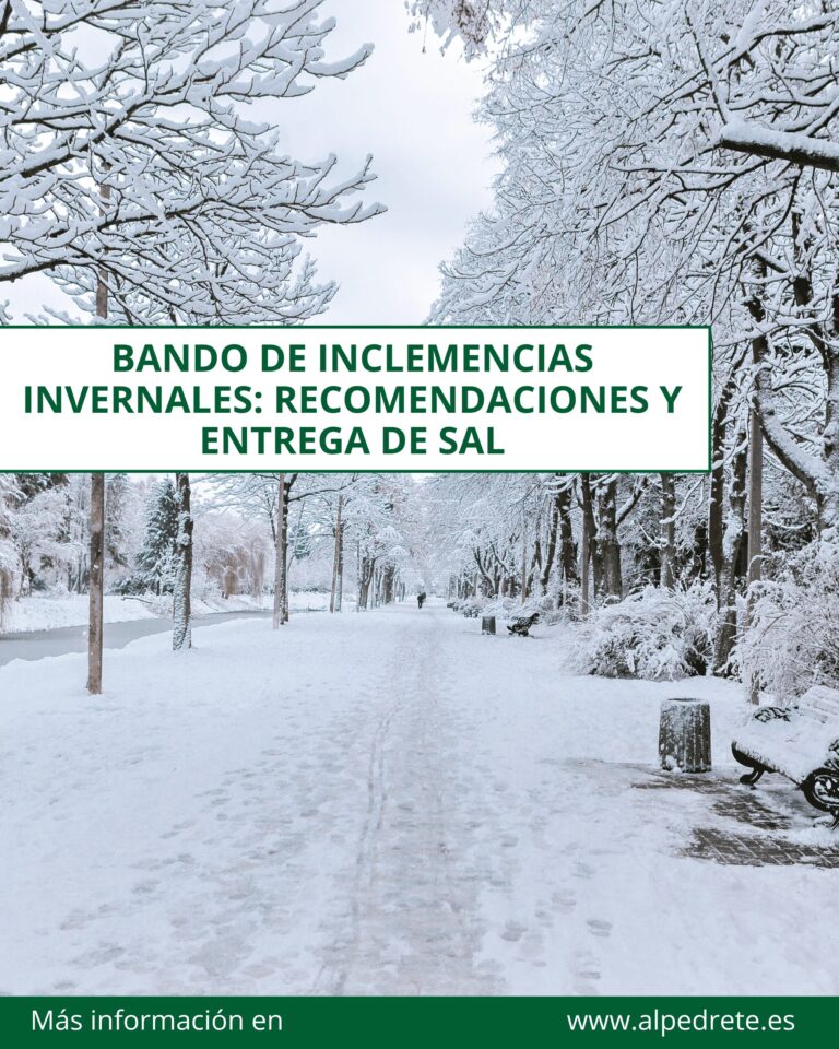 Entrega de sal establecida en el Plan de Inclemencias Invernales para área en Nivel I