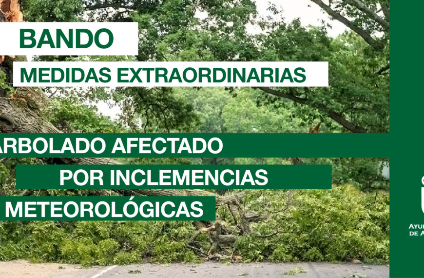 Activadas medidas extraordinarias para árboles urbanos privados tras daños por meteorología adversa