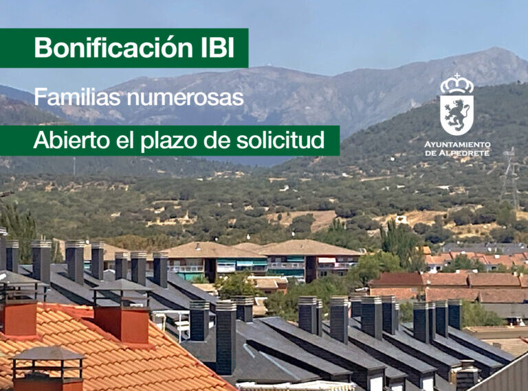 Bonificación del IBI para familias numerosas: cómo acceder a descuentos y alivios fiscales en tu municipio