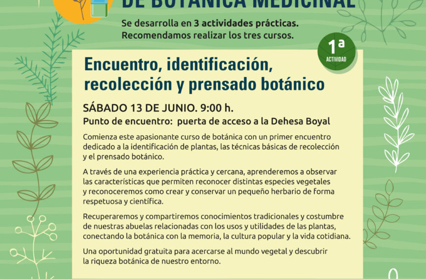 Alpedrete verde: Curso completo de botánica medicinal para descubrir el poder de las plantas