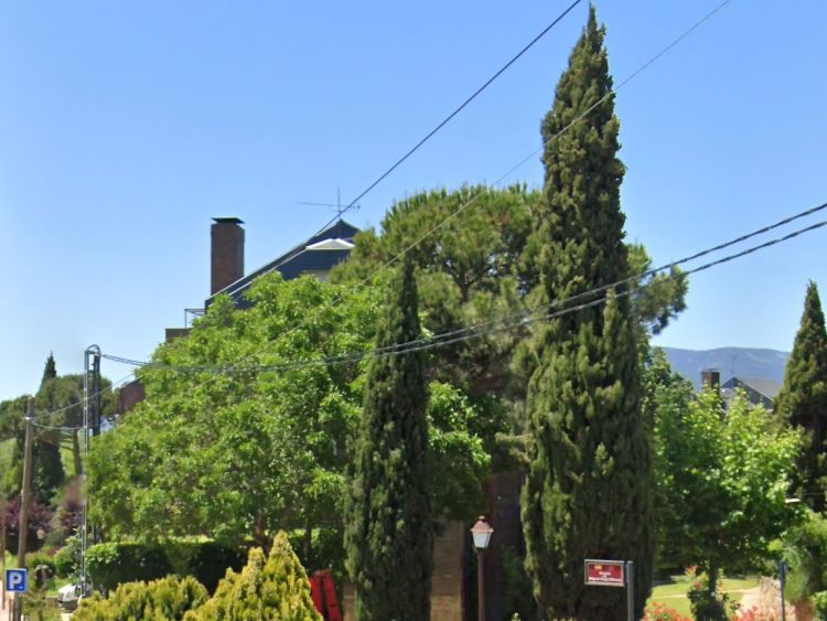 Inventario del arbolado urbano de Alpedrete destaca por su diversidad y gestión sustentável